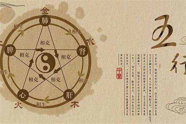 梦见小男孩